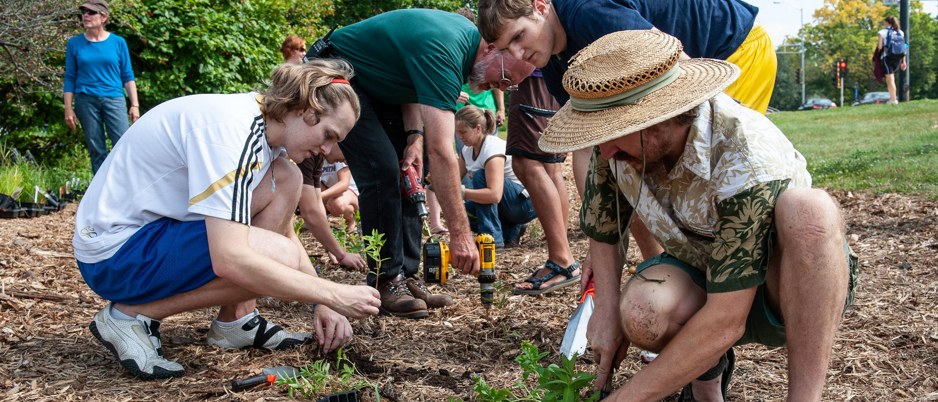 Students and faculty working in rain garden