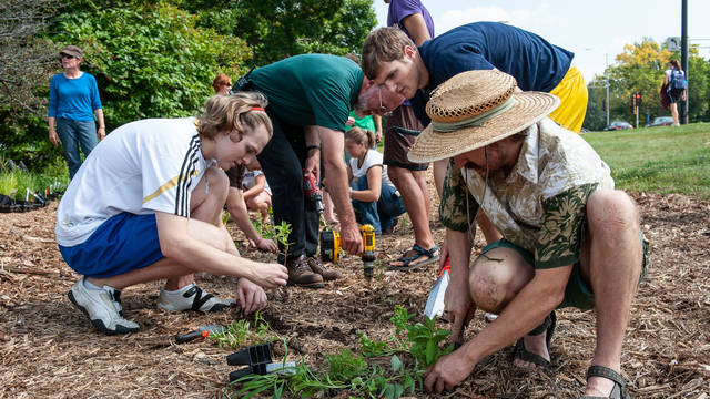 Students and faculty working in rain garden