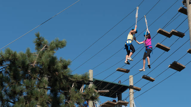 Students participate in ropes course