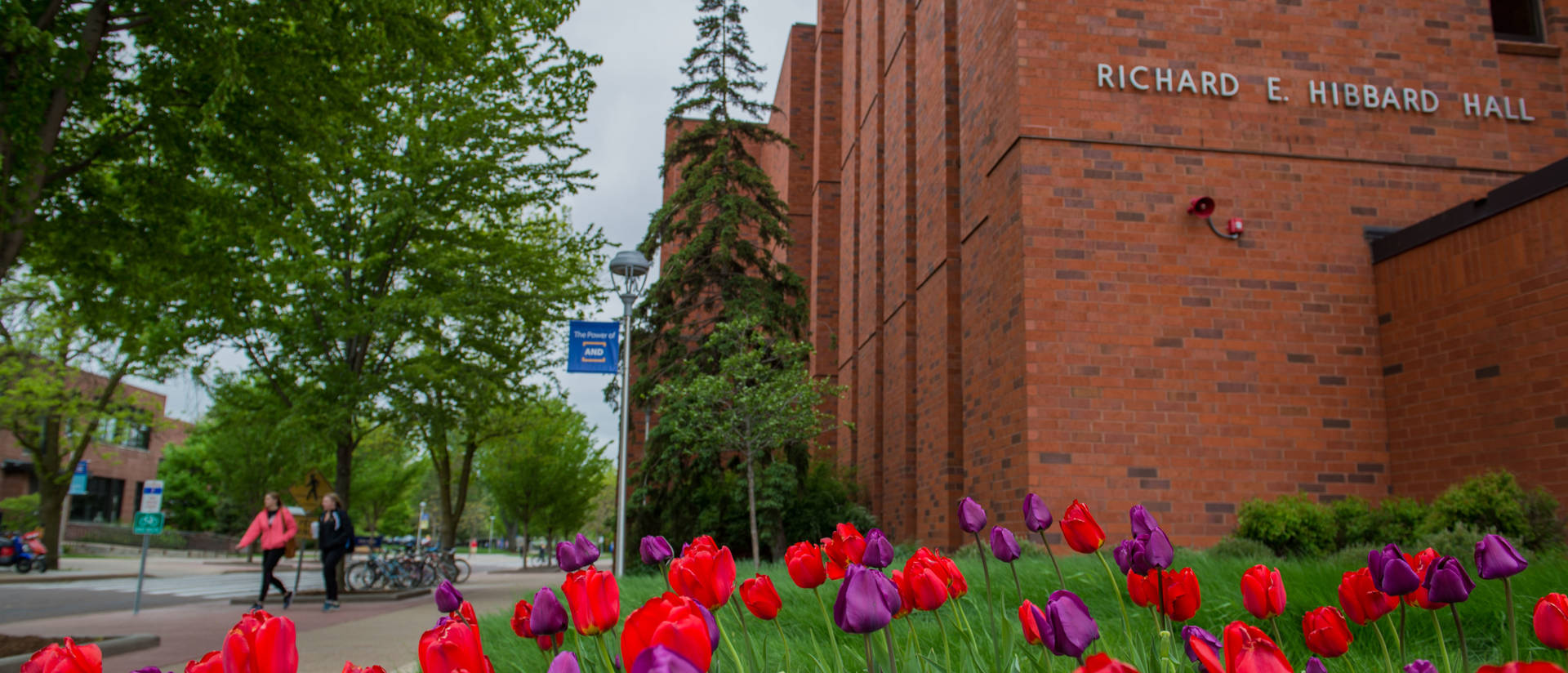 Hibbard Hall on a spring day with tulips blooming.