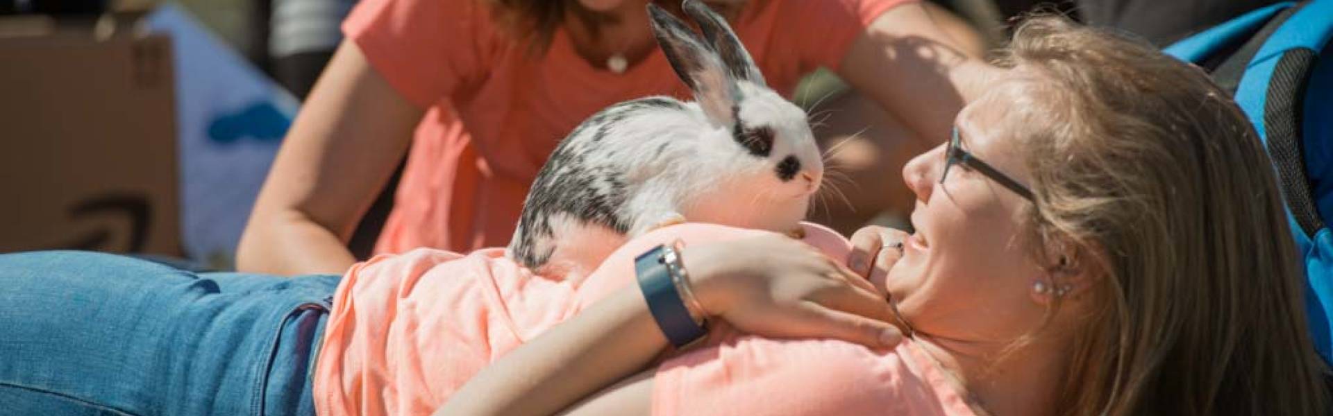 Female student with baby bunny at SpringFest