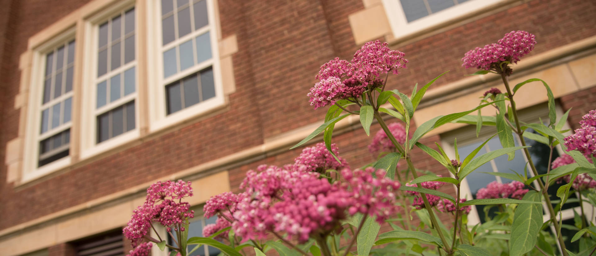 campus beauty