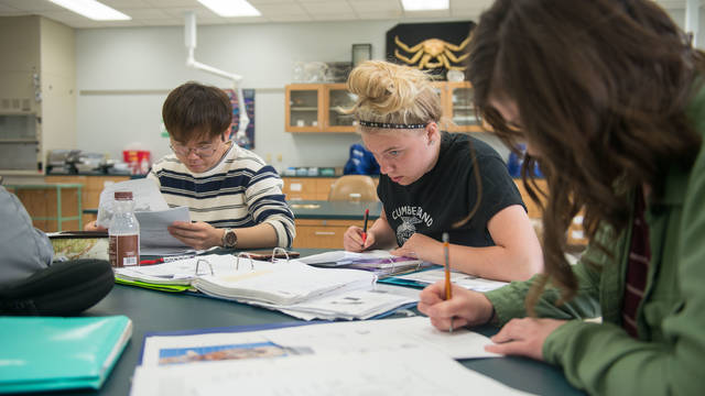 Students around a classroom table, UW-Barron County