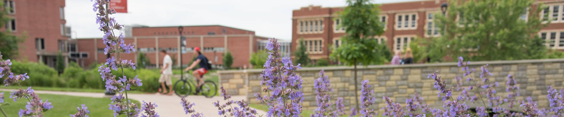 campus mall