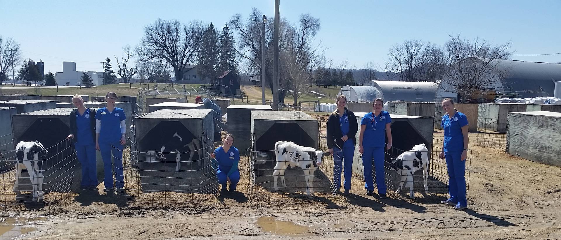 Dairy farm and nursing students 2018