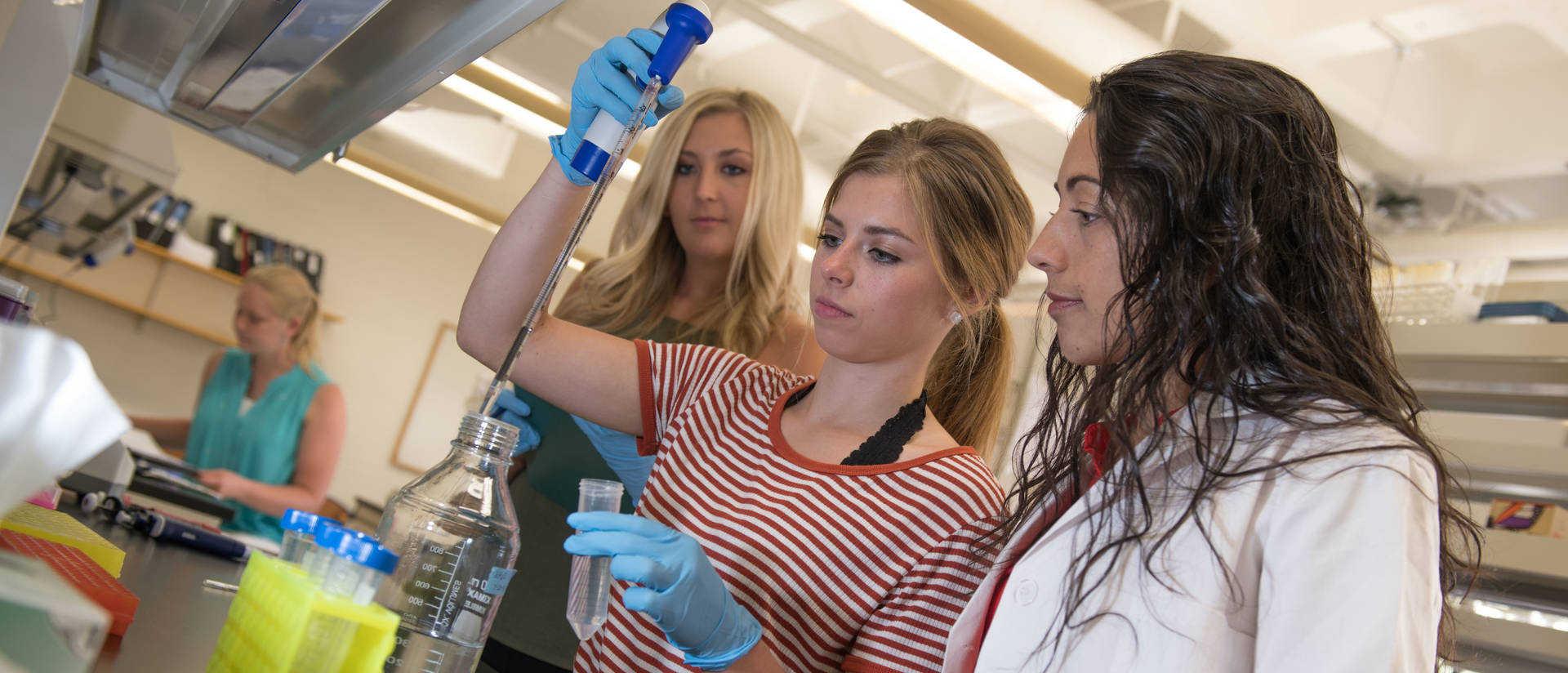 Biology students and faculty research mentor in the lab.