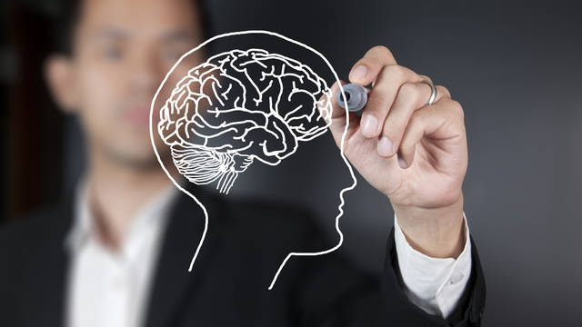 Blurred person drawing a brain on clear board with a white marker
