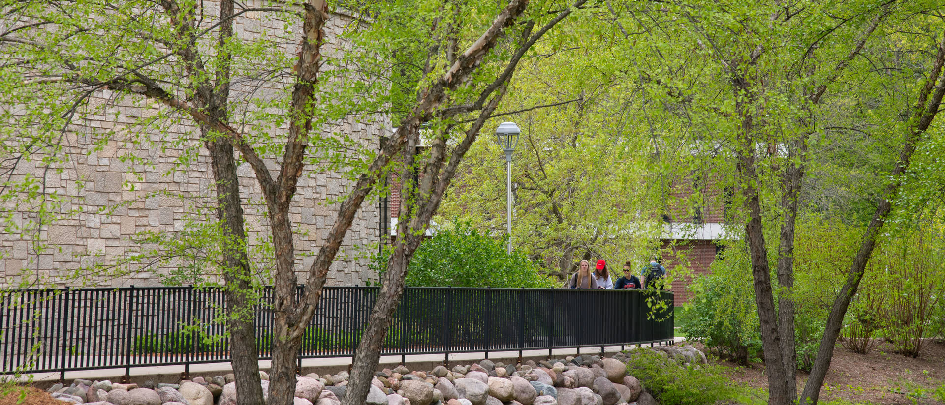 Students walking amidst campus greenery