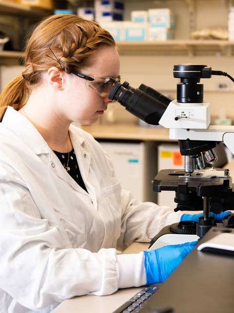 Student in a lab looking through a microscope