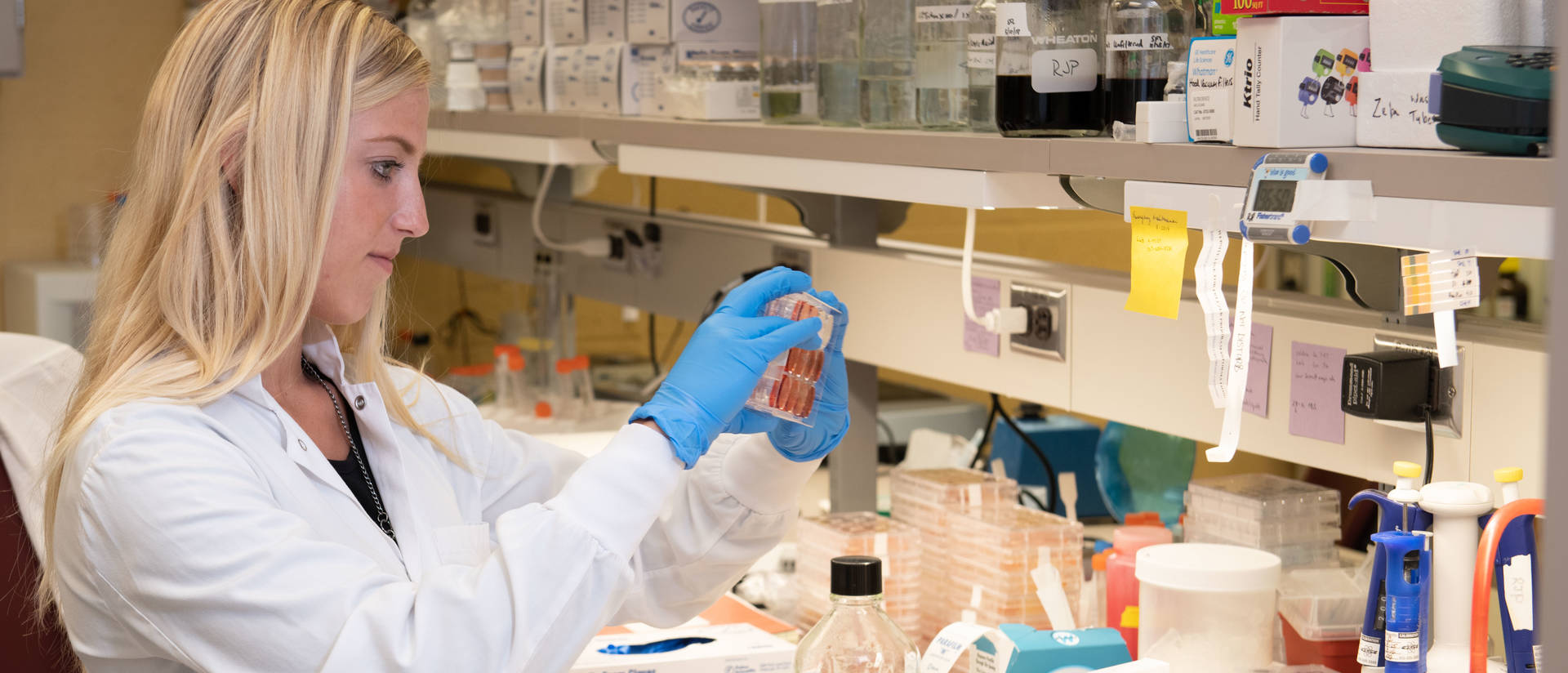 Biology student Megan Schluestner in Mayo lab at Rochester campus