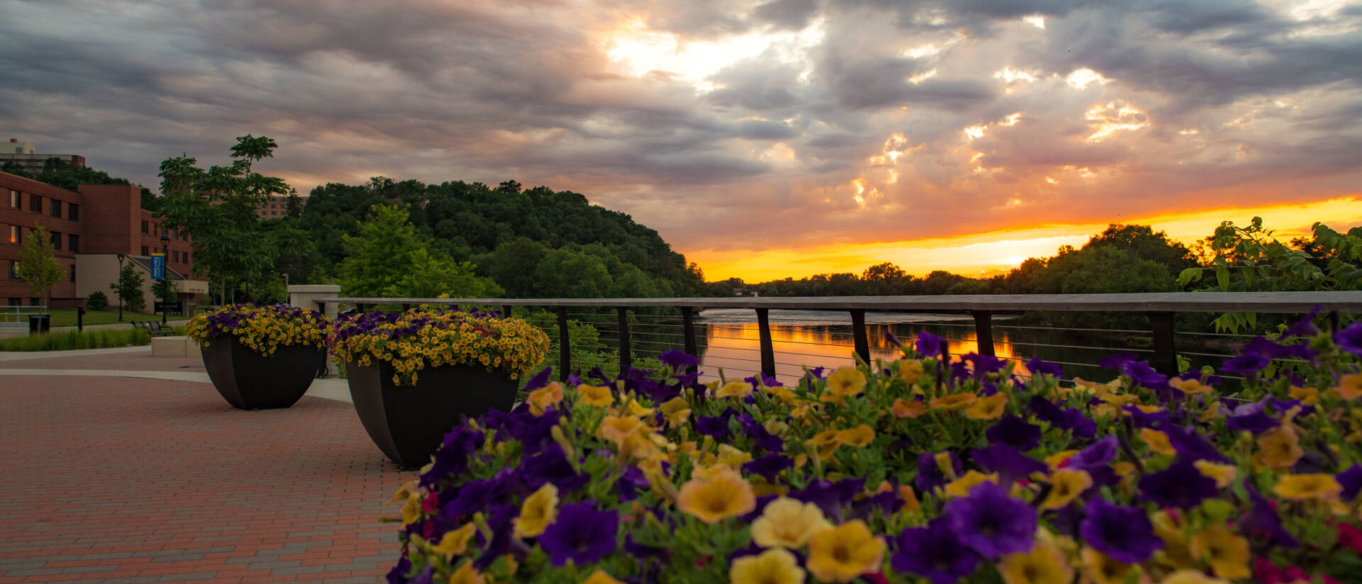 flower pots along Chippewa River