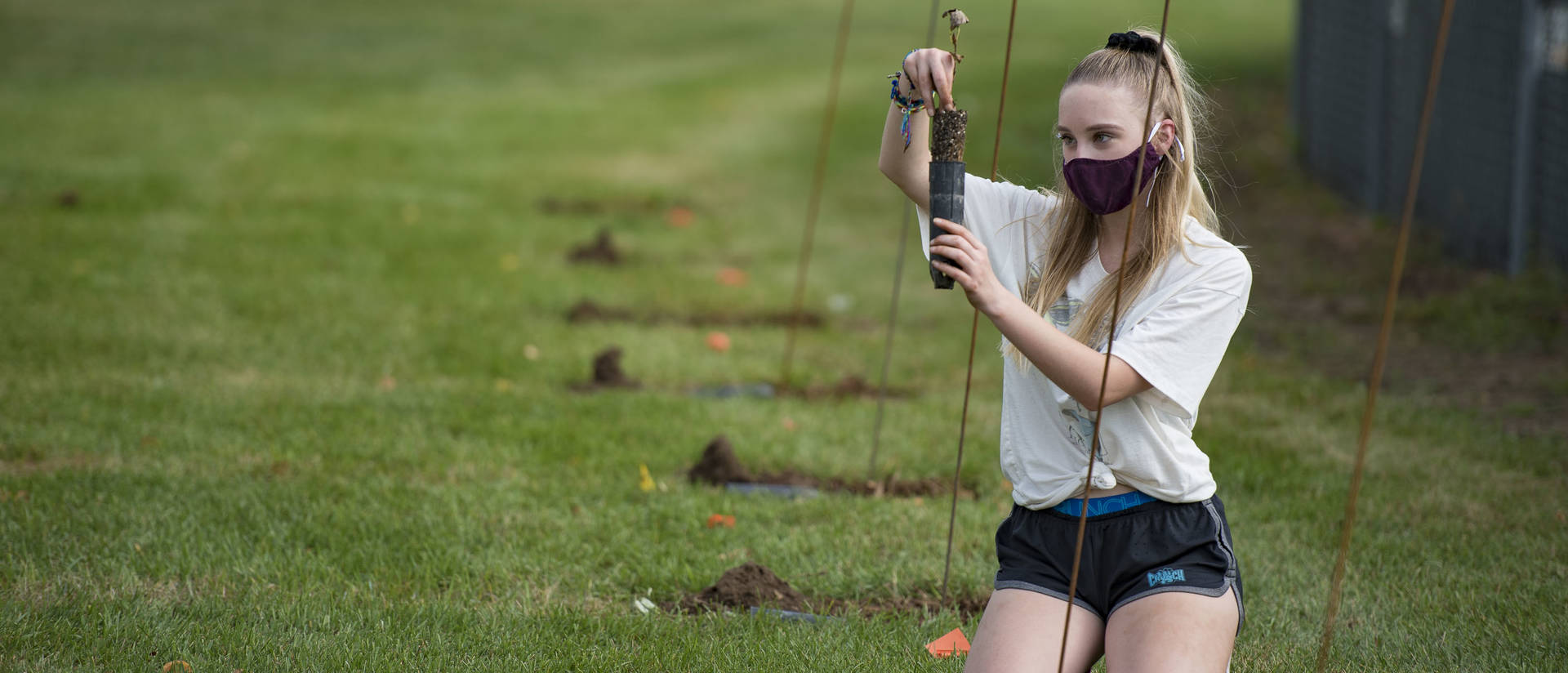 UW-Eau Claire biology student Cassidy Michels helped plant poplar trees Sept. 25 at Bollinger Fields as part of a National Science Foundation-supported research program studying the adaptiveness of tree species in varied climates.