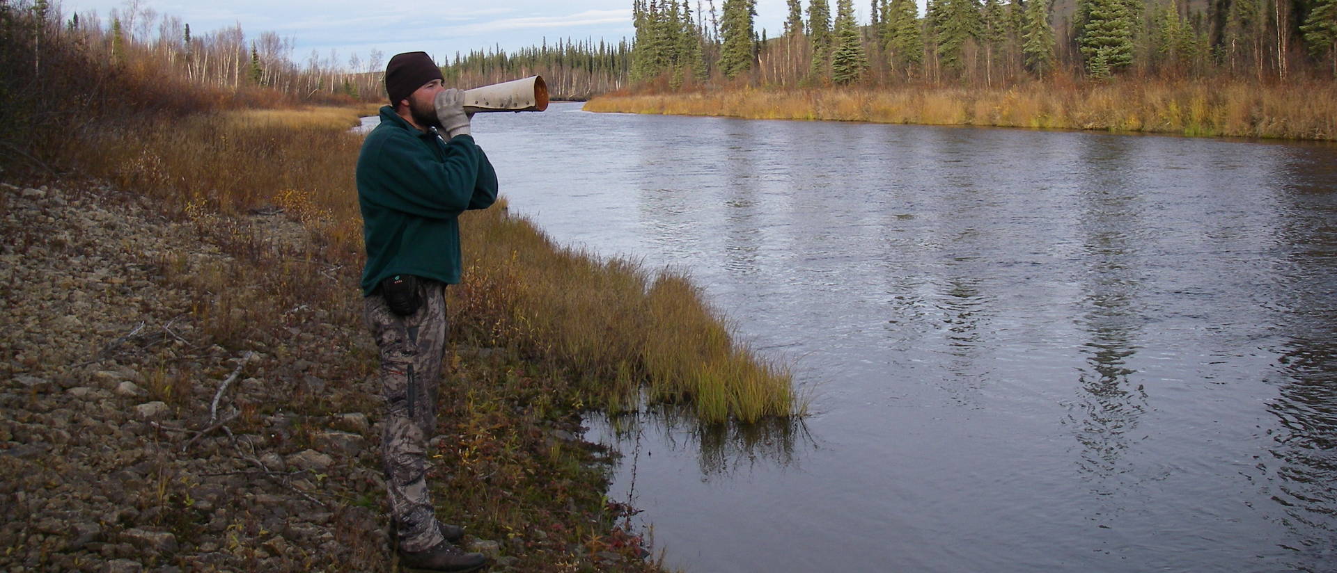 Alaska hunting guide Billy Molls, who will discuss his adventures during the Oct. 22 “Thursdays from the U” livestream, mimics the sounds of a cow moose in hopes of luring a mature bull.