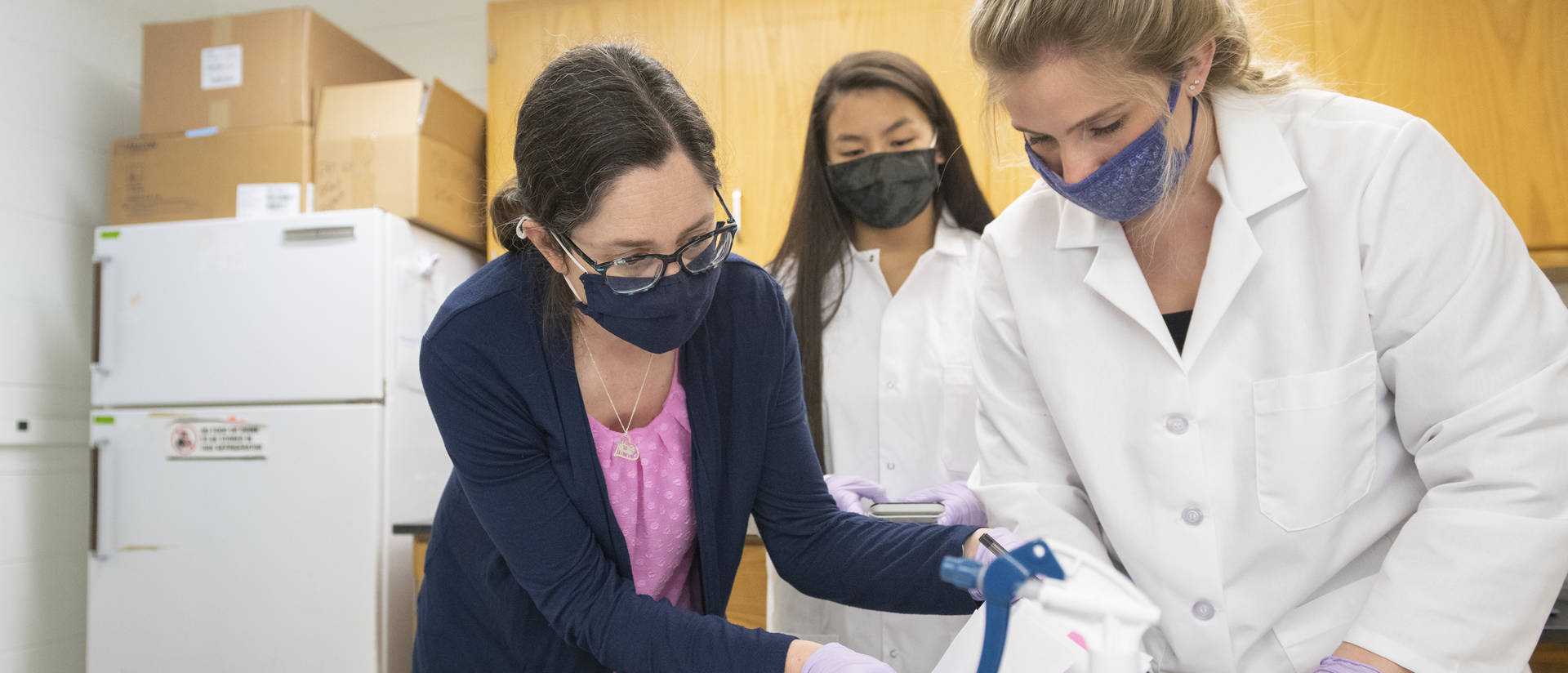 Dr. Jamie Lyman Gingerich, a UW-Eau Claire associate professor of biology, works in a Phillips Hall laboratory with students Kati Sadowska, center, and Caterra Leavens.