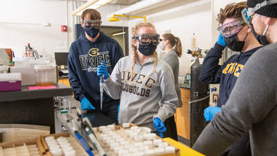 Foam research in lab