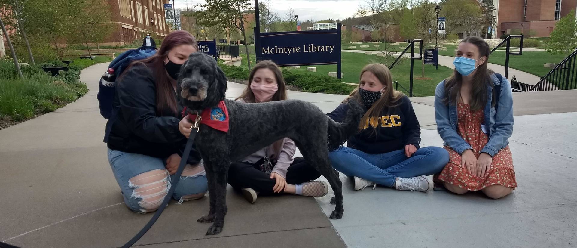 Therpay dog and students outside library