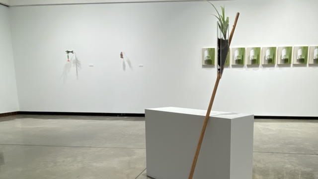 View of "I Make This, You Make That" art exhibition in the Foster Gallery. It shows a sculpture of a broom with a plant growing in a plexi glass container attached to the broom handle.