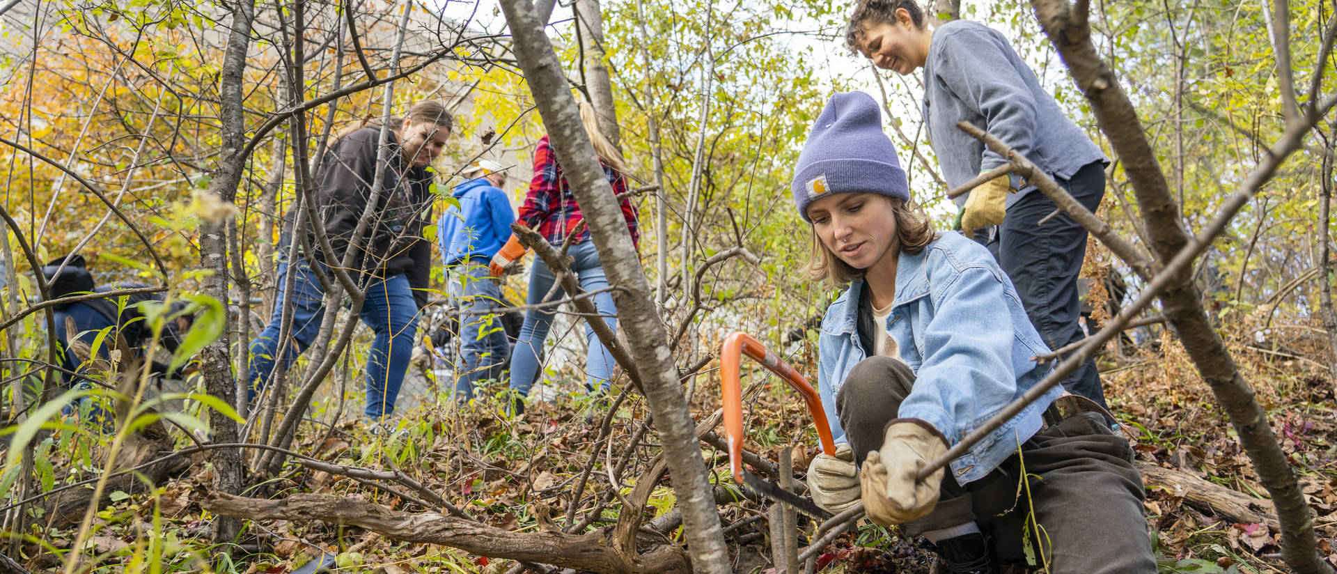 UW-Eau Claire students and faculty were among those working to preserve the biodiversity in Putnam Park.