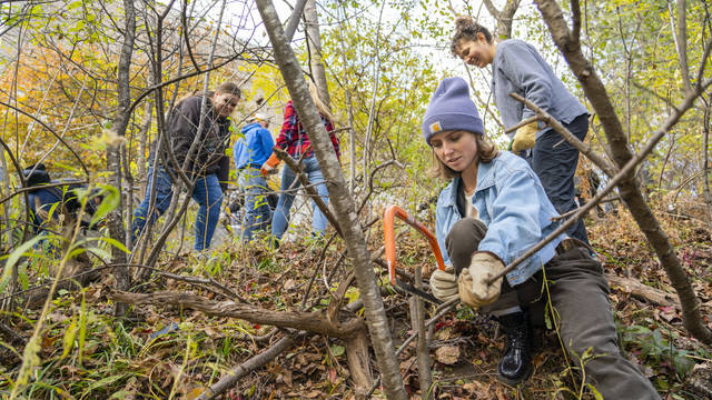 UW-Eau Claire students and faculty were among those working to preserve the biodiversity in Putnam Park.