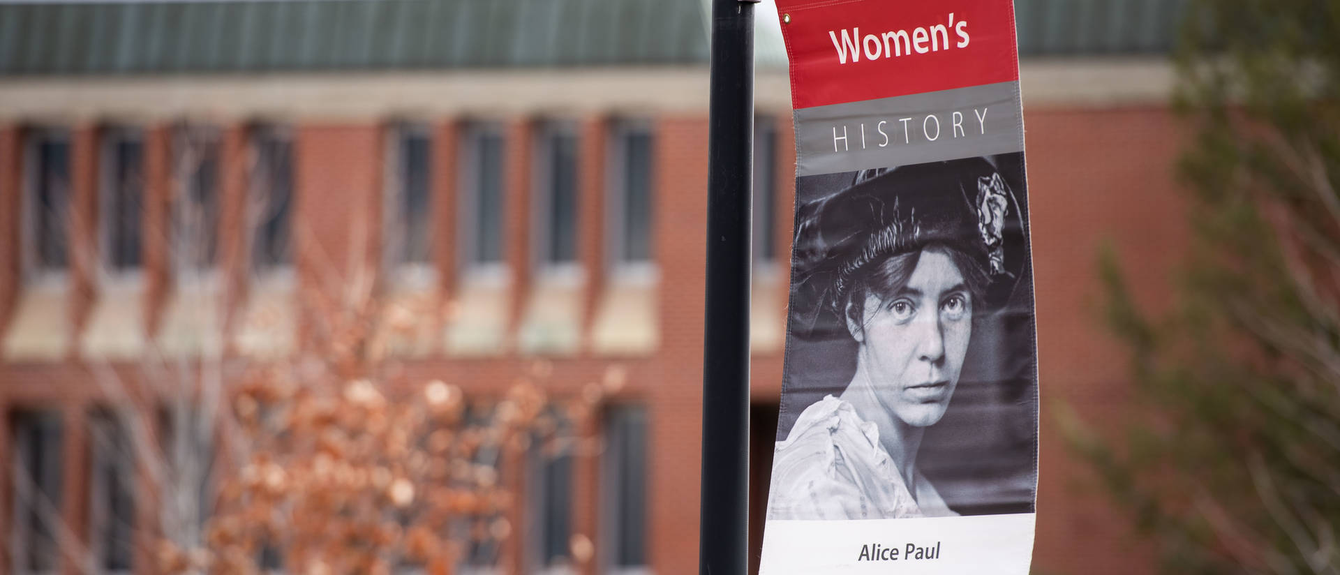 Photo of Women's History Banner