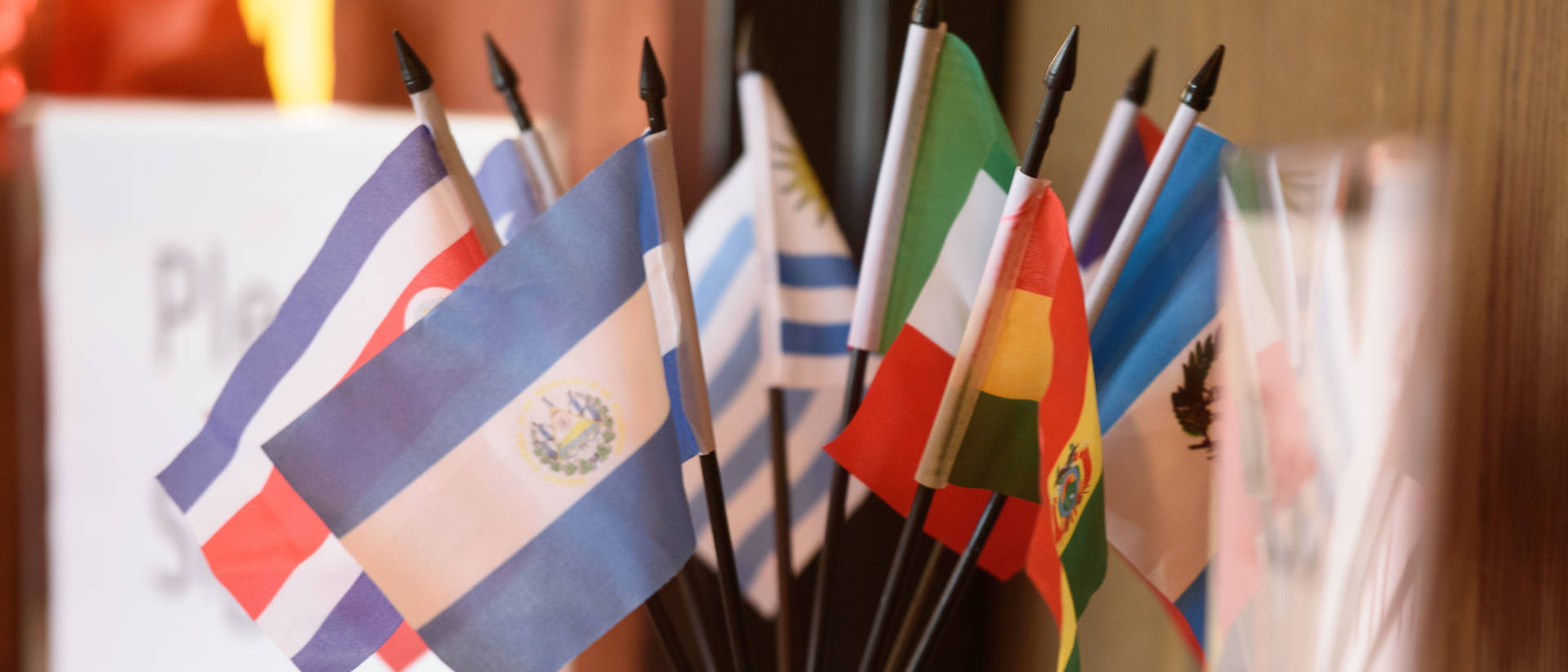 Photo of flags from Latin American countries