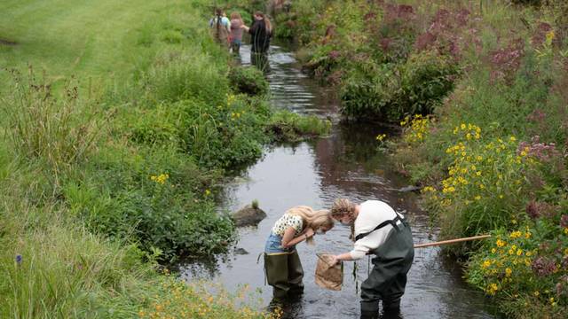 Biology students work in the creek on their first day of class
