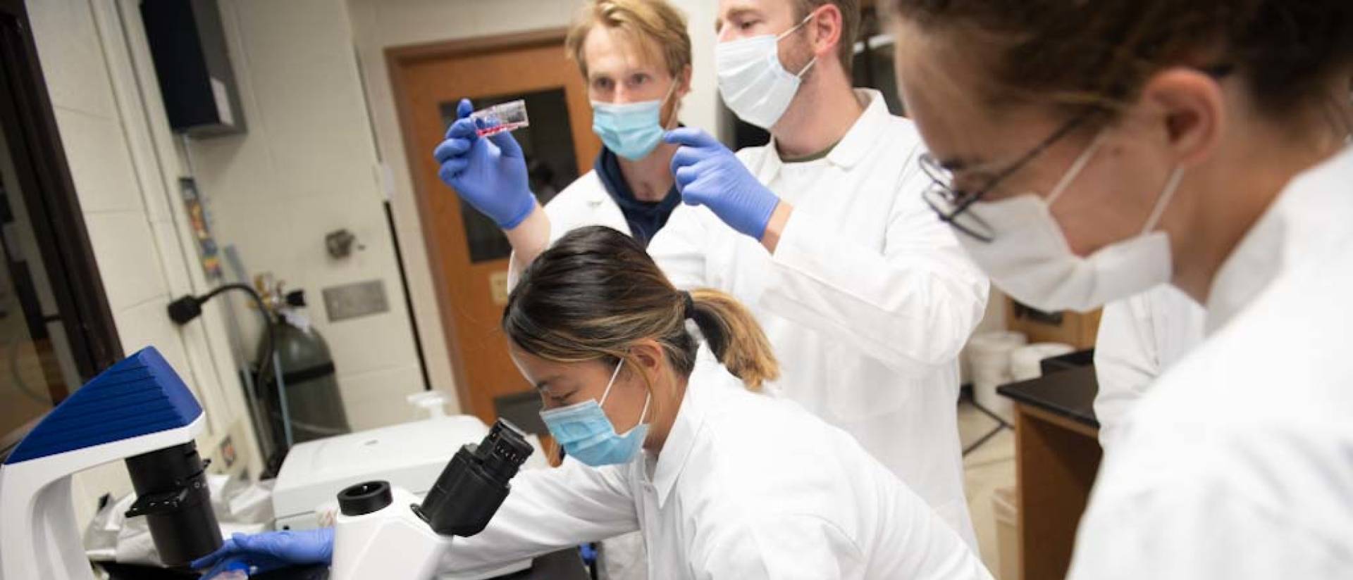 Materials Science and Biomedical Engineering students in lab