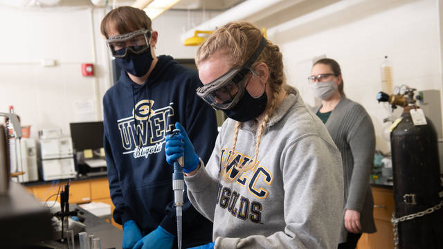 Materials science students working on Mayo research