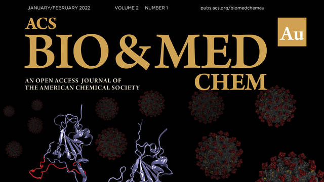 The Front cover art for a UWEC student-authored manuscript: "Pre-Existing Oxidative Stress Creates a Docking-Ready", published in ACS Bio & Med Chem Au.