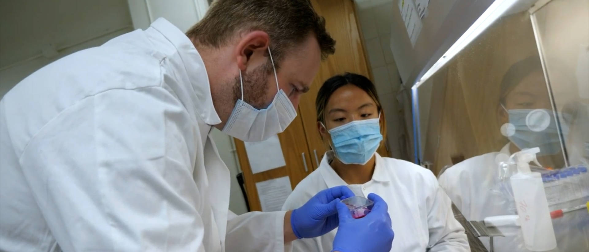 Students working in a lab