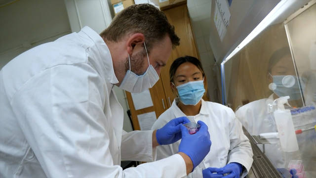 Students working in a lab