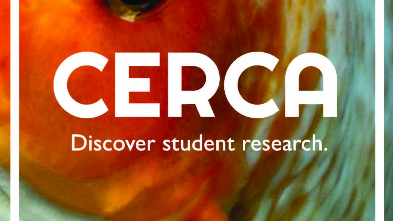 Fish - CERCA Discover Research