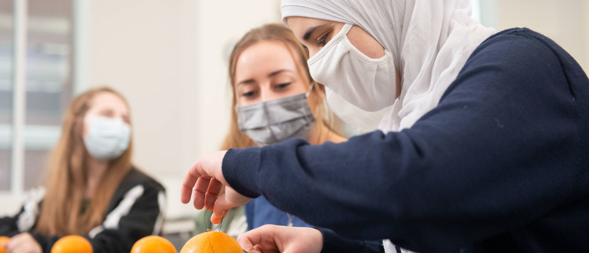 Pre-professional Health Club members practice suturing on oranges