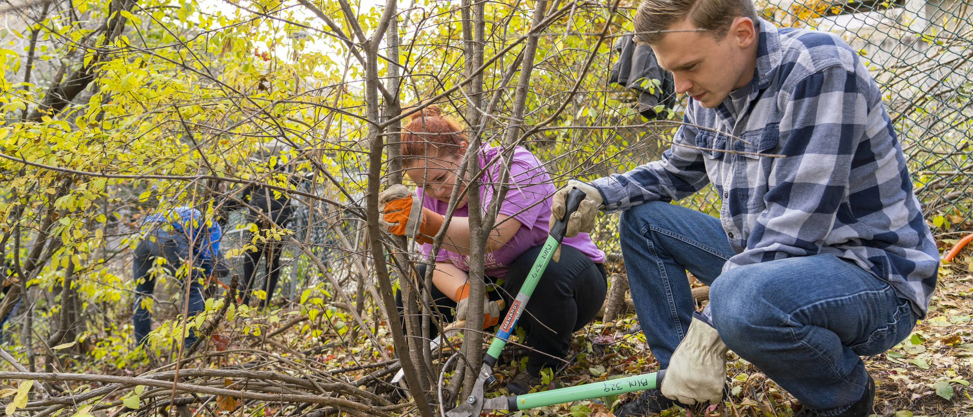 Students in the biology department cut down invasive plants from Putnam Park.