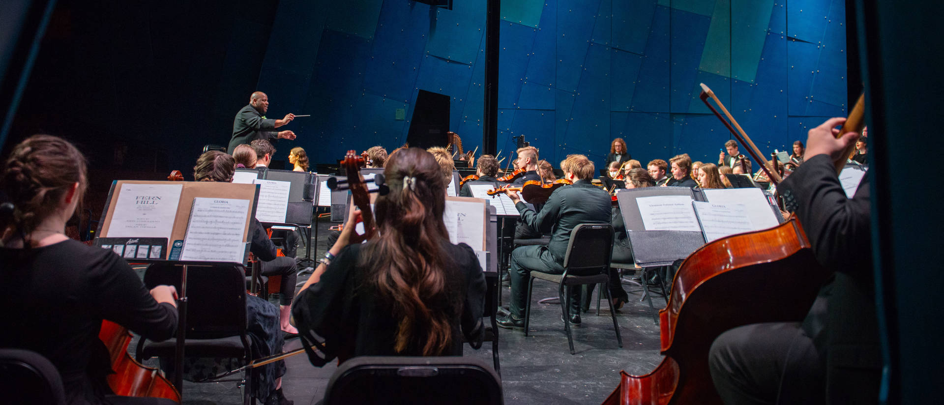 A director leads an orchestra performance on stage