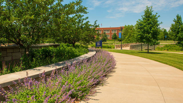 Lower campus in summer