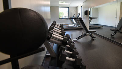 Gym space with large mirrors, free weights, a bench and cardio equipment