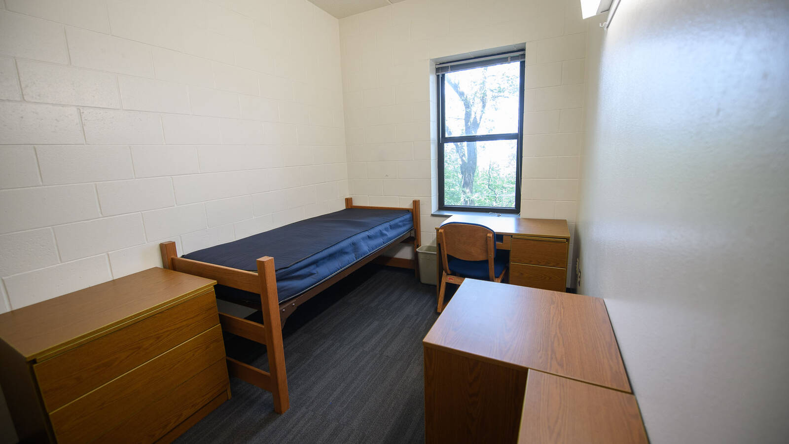 Single bedroom in Chancellors Hall apartment with bed, window, desk, chair, bookshelves, and dresser.
