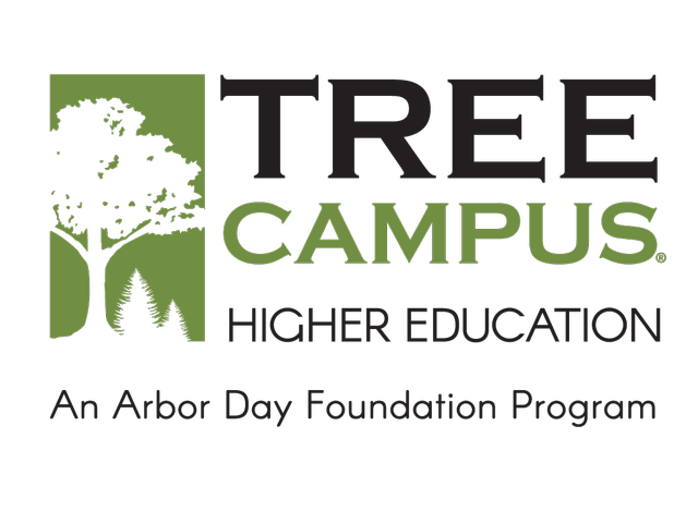Tree Campus logo