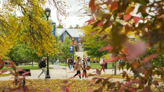 Students walking to class on a fall day, with trees changing to orange and leaves on the ground
