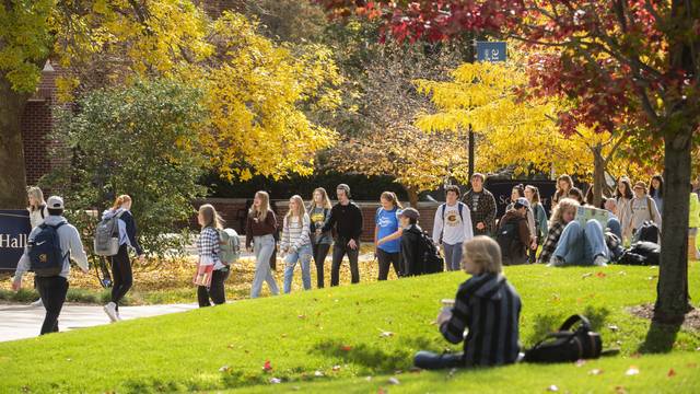 Fall on lower campus