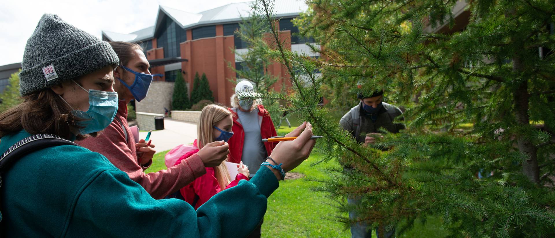 Students in an outdoor class examine a pine tree on campus