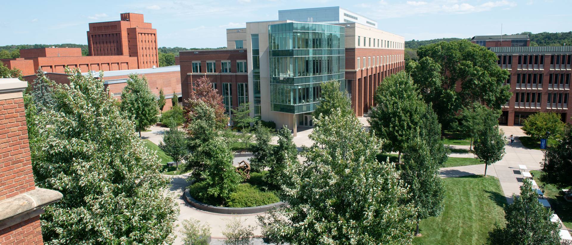 A picture from the rooftop of campus, showcasing trees in mid summer.