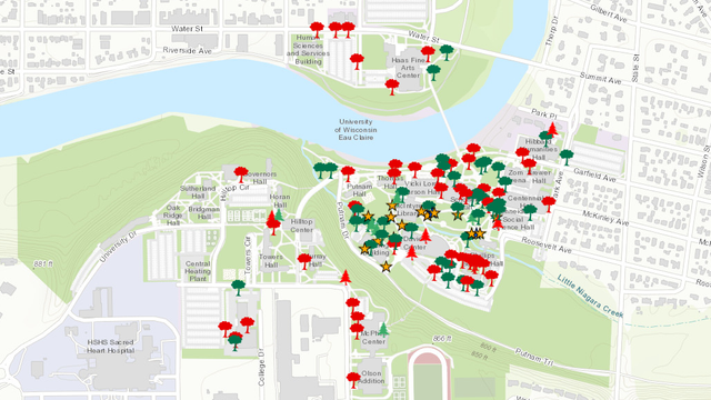 UWEC's GIS Tree Map