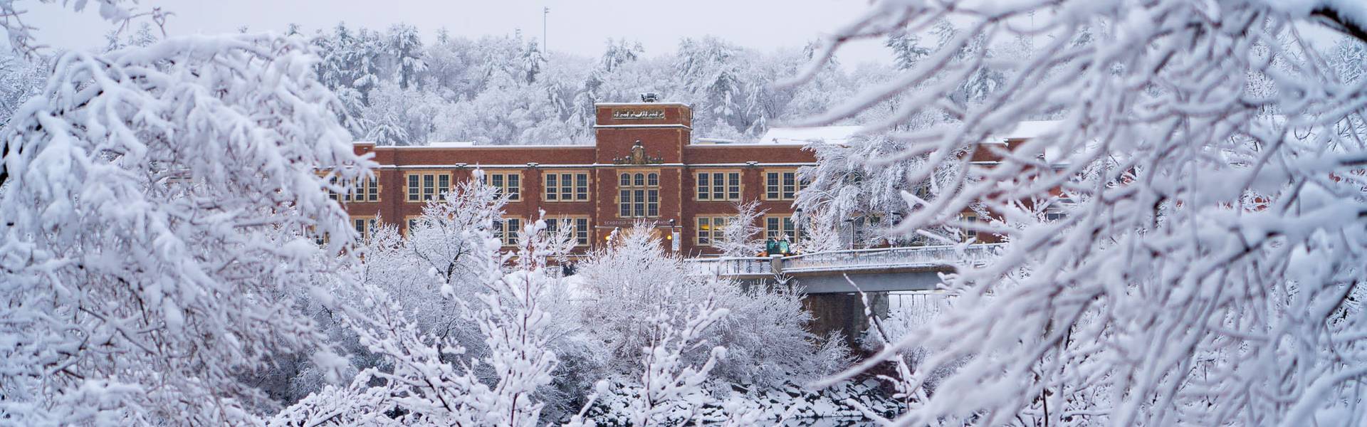 Schofield Hall in the background of snowy branches.