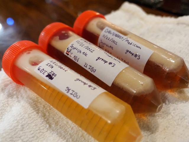 vials of beer samples for chemistry lab