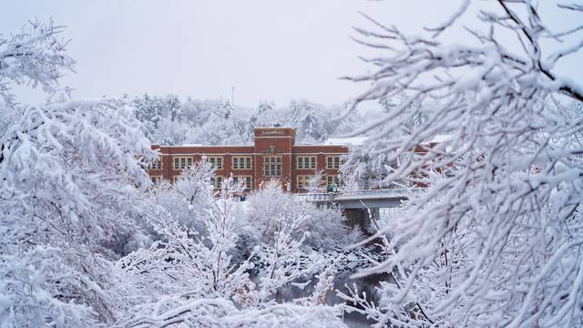 Schofield in the snow