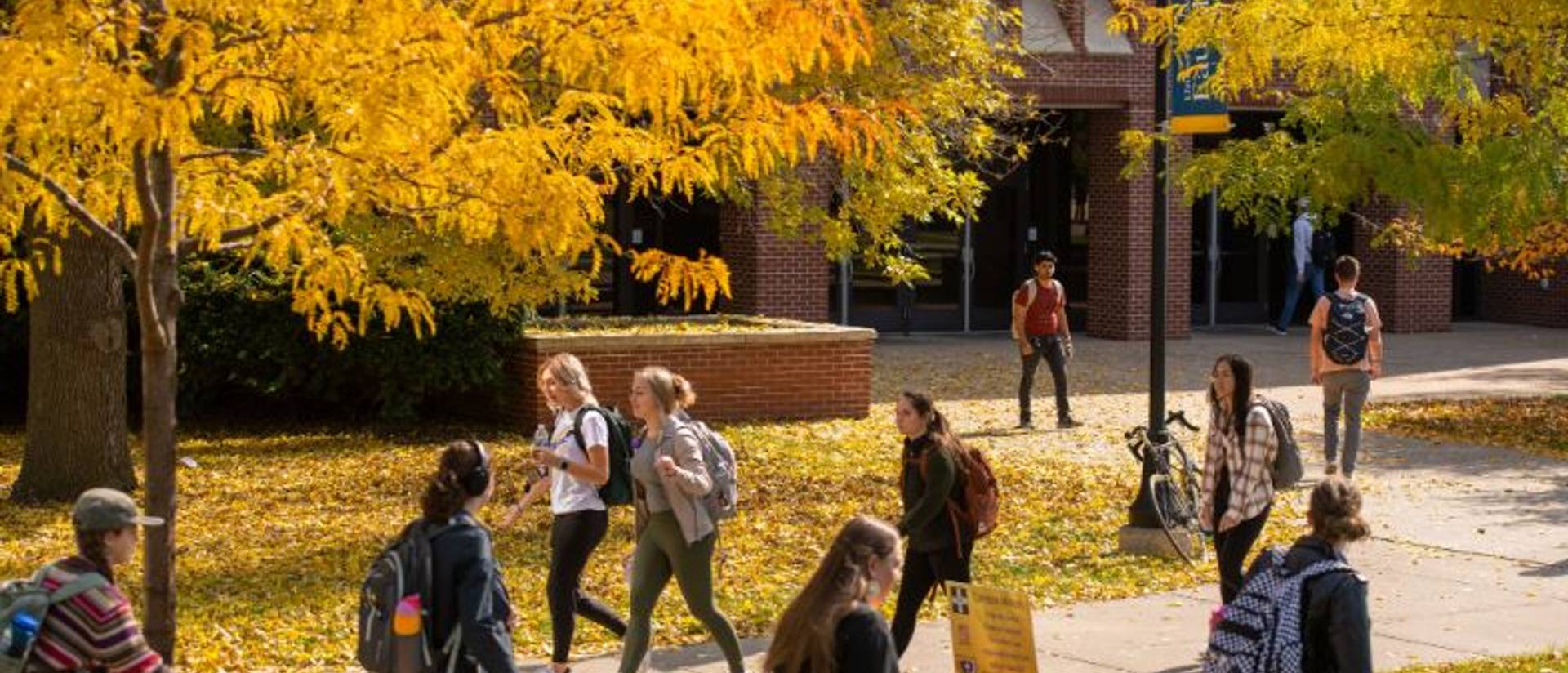 College students on campus in fall