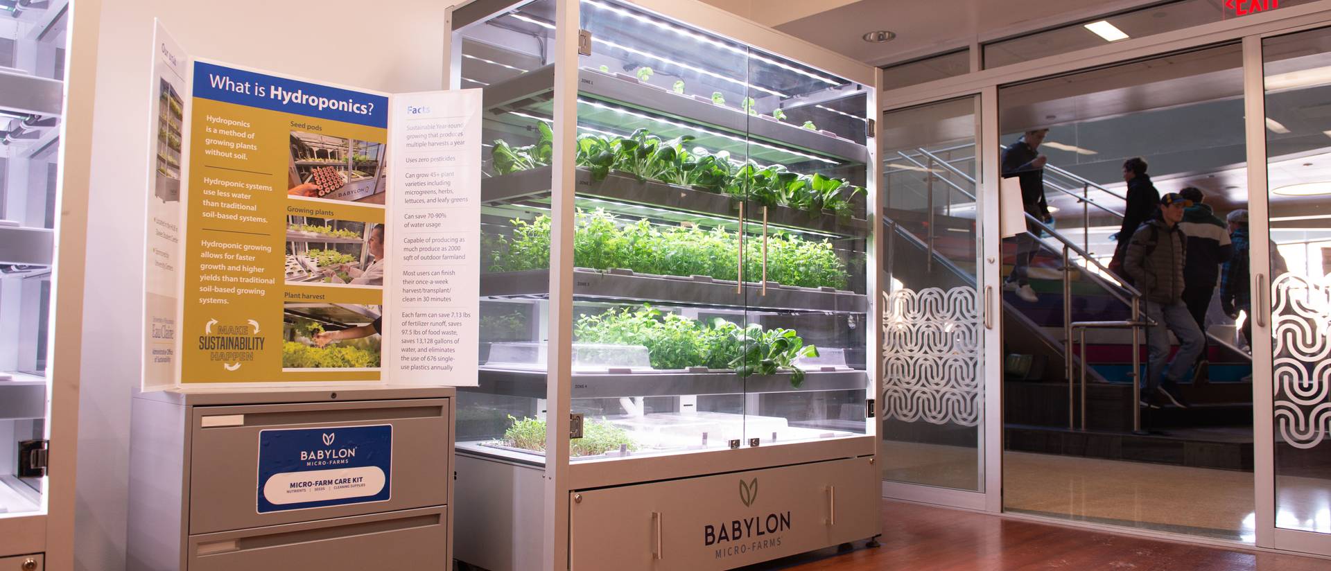A picture of two large rectangular hydroponics units in the HUB in Davies. They are clear glass with five levels of plants growing in them.