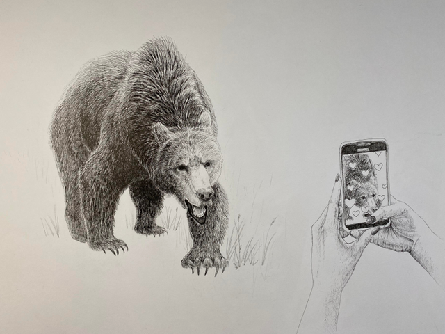 drawing a phone capturing a photo of a bear